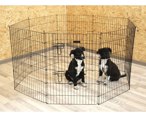 Welpen- und Kleintiergehege KERBL 8 Zaunelemente je 57x78 cm Achteckiger Hundeauslauf aus Metalldraht mit zwei Welpen darin