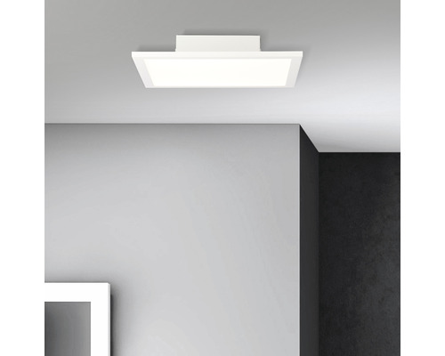 BRILLIANT Lampe Abie LED Deckenaufbau-Paneel 40cm weiß, 1x 24W LED  integriert, (1900lm, 2700-6200K)