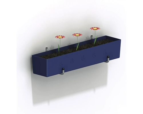 Blauer Wandblumenkasten mit drei roten Gänseblümchen