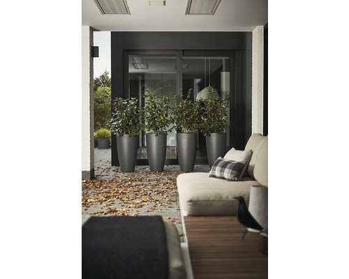 Terrasse mit Pflanzen in Pflanzkübeln und Sitzmöbeln