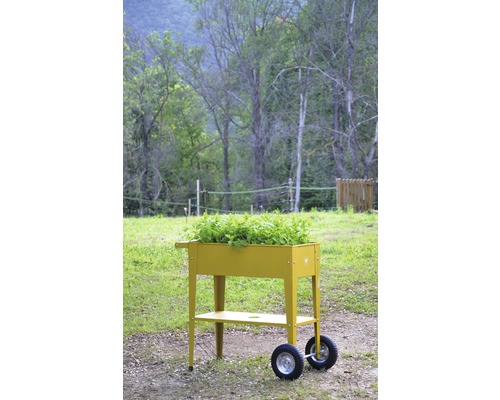 Hochbeet auf Rädern mit Bepflanzung im Garten