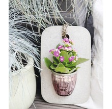 BOTAMENT Kreativbeton 3,5 kg