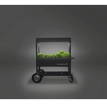 Herstera Kräuterwagen mit Pflanzen