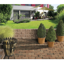 Pflasterstein Rechteckpflaster Rustikal rotbunt 14 x 21 x 6 cm-thumb-3