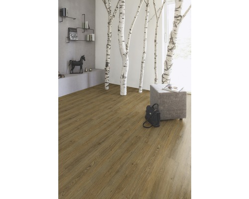 Wohnraum mit hellem Holzlaminatboden, Birkenstämmen und Regalen