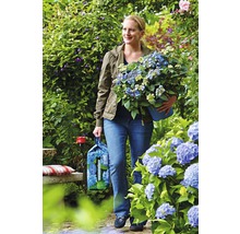 Hortensienerde Endless Summer blau 20 L