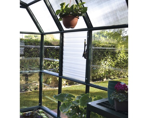 Innenansicht eines Gewächshauses mit Pflanzen und Beschattungssystem