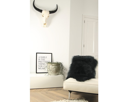 Wohnzimmer mit Geweih, Zierkissen, Topfpflanze, Dekoration und weißer Tür
