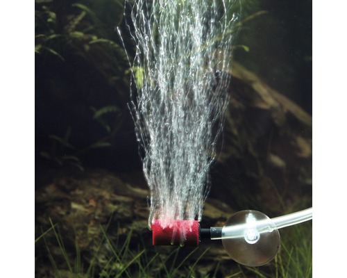Aquariumausströmer mit Luftblasen