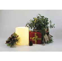Dekorative Anordnung mit LED Kerze, Geschenken und Pflanze