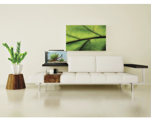 Wohnzimmer mit Sofa, Aquarium und Zimmerpflanze