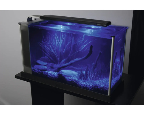 Aquarium mit Pflanzen und Dekoration auf einem Unterschrank