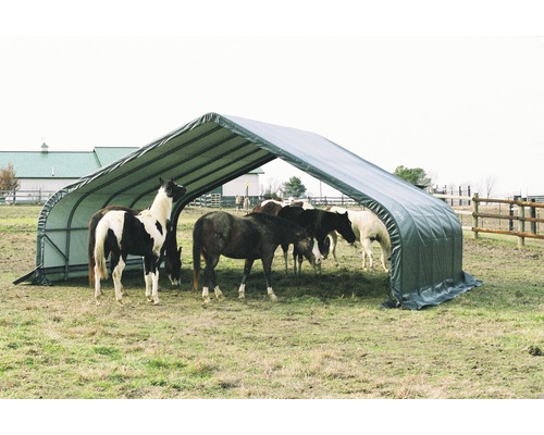 Pferdeunterstand mit mehreren Pferden auf einer Wiese