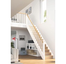 Heller Raum mit Holztreppe, weißem Geländer und Regalelement unter der Treppe.