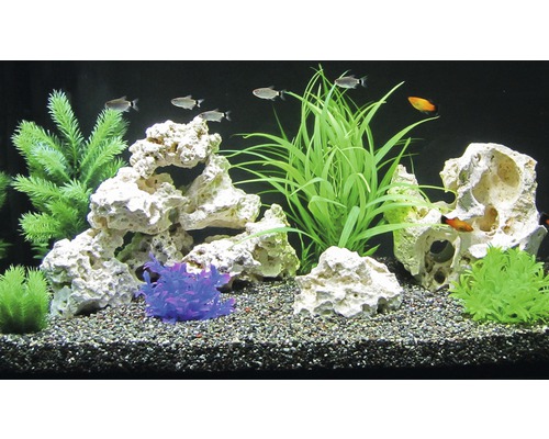 Dekoratives Aquarium mit Fischen, Pflanzen und Steinen