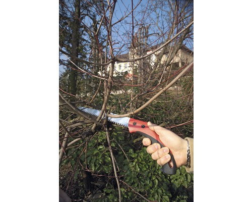 Eine Astsäge schneidet einen Baumast ab.