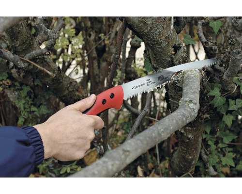 Handbügelsäge schneidet Ast