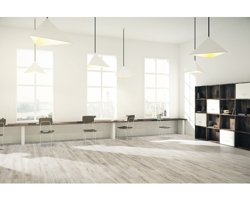 Heller Raum mit Holzfußboden, Schreibtisch mit Stühlen und Regal