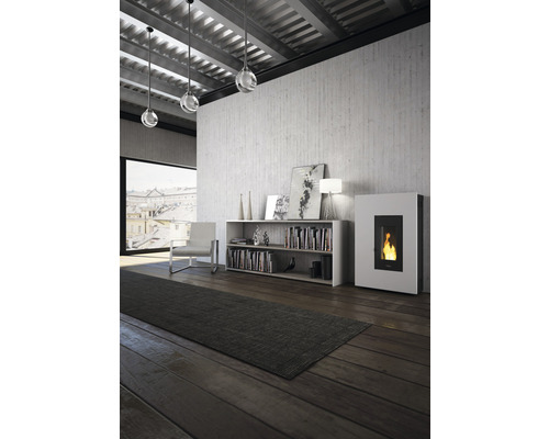 Wohnzimmer mit Kaminofen, Regal, Sessel und Teppich auf Holzboden