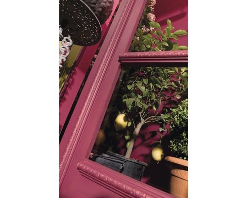 Dekoratives Zimmer mit Zitronenbaum im Topf und Zierleisten