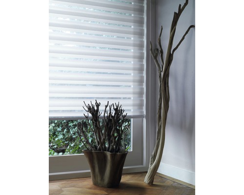 Sichtschutzrollo im Raum mit Dekorationselementen vor dem Fenster