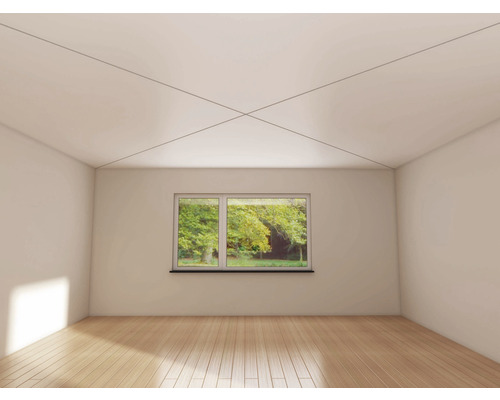 Heller Raum mit Fenster, Holzfußboden und Deckenprofilen