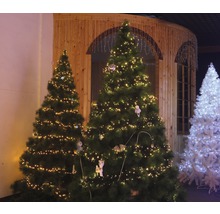 Szene mit mehreren geschmückten Weihnachtsbäumen in einem Raum.