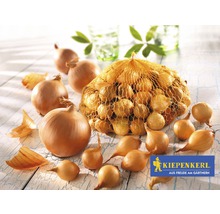 Steckzwiebeln Kiepenkerl gelb 250 g