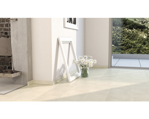 Heller Raum mit Fliesenboden, Zierleisten, Bilderrahmen und Blumenvase