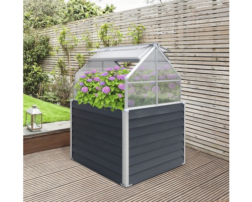 Hochbeet mit Gewächshausaufsatz und lila Hortensien auf einer Terrasse