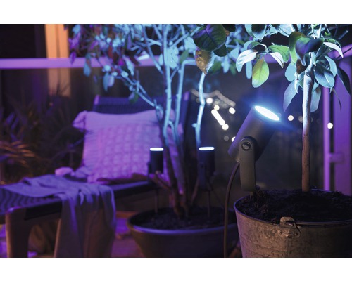 Philips hue LED Spot 1er Ambiance Color & White | Erweiterung HORNBACH