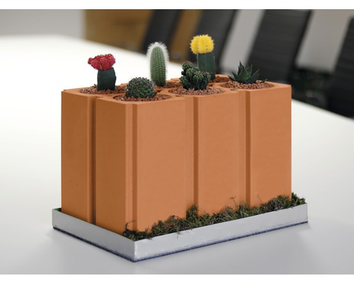 Kaktus Pflanzenarrangement in einem Ziegel Pflanzgefäß