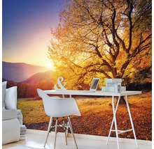 Fototapete Vlies 12640V4 Herbst 2-tlg. 254 x 184 cm
