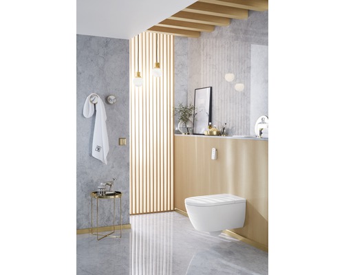 Modernes Badezimmer mit Wandtoilette, Handtuch und dekorativen Elementen