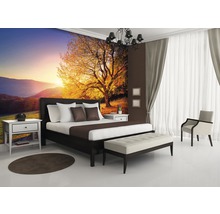 Fototapete Vlies 12640V4 Herbst 2-tlg. 254 x 184 cm