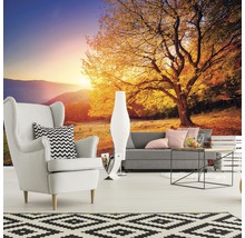 Fototapete Vlies 12640V4 Herbst 2-tlg. 254 x 184 cm