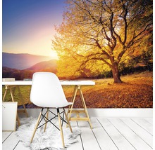Fototapete Vlies 12640V4 Herbst 2-tlg. 254 x 184 cm
