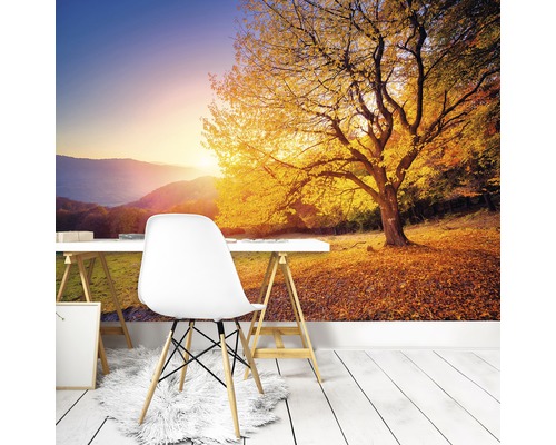 Büro mit Fototapete Herbstlandschaft, Schreibtisch und Stuhl
