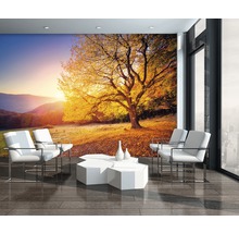 Fototapete Vlies 12640V4 Herbst 2-tlg. 254 x 184 cm