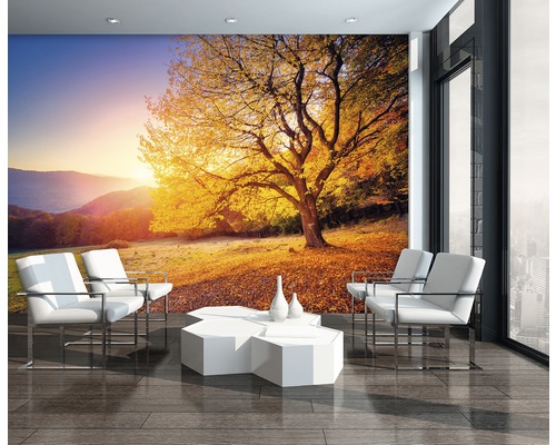 Szene mit Fototapete, die einen Baum in herbstlicher Landschaft zeigt, mit Sesseln und Tisch in einem Raum