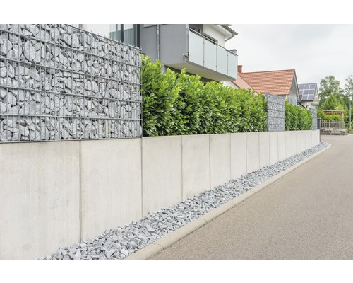Gabionenwand mit Steinen und Betonmauer als Grundstücksbegrenzung.
