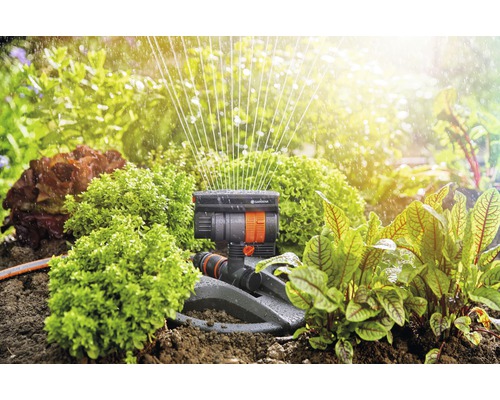 Gartenbewässerung mit Vielflächenregner zwischen Pflanzen