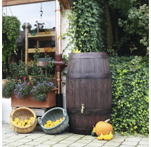 Regenspeicher ARVES Barrique 250 l dunkelbraun