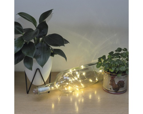 Dekorative Szene mit Pflanze in weißem Topf, Lichterkette in Glasflasche und Pflanze in Topf mit Hahnmotiv