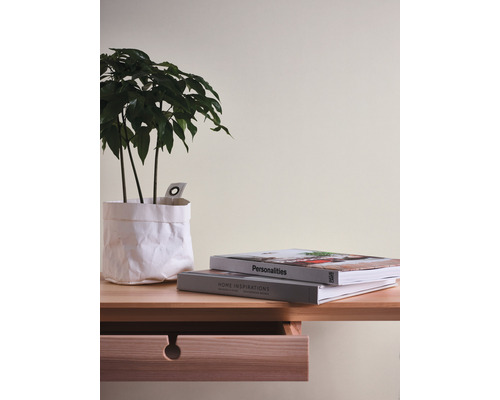 Dekorative Szene mit Zimmerpflanze in Papiertüte und zwei Büchern auf einem Holztisch mit Schublade.