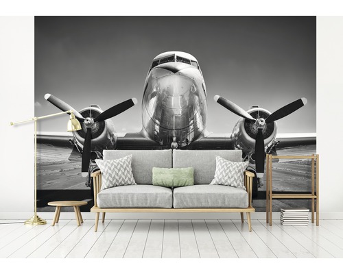 Wandbild mit einem Flugzeug über einem Sofa