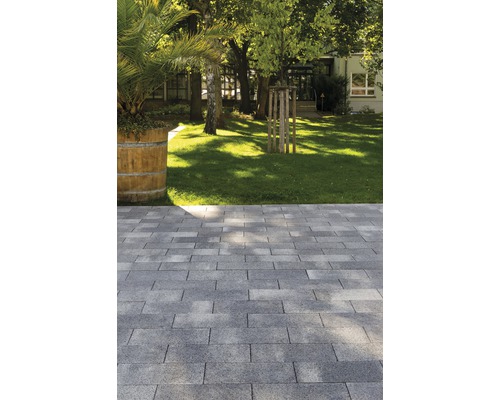 Gepflasterter Gartenweg mit Rasenfläche und Baumbestand