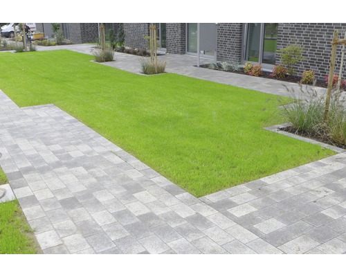 Garten mit Rasen und Pflastersteinen