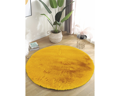 Runder Teppich in einem Raum mit Zimmerpflanze und Beistelltisch