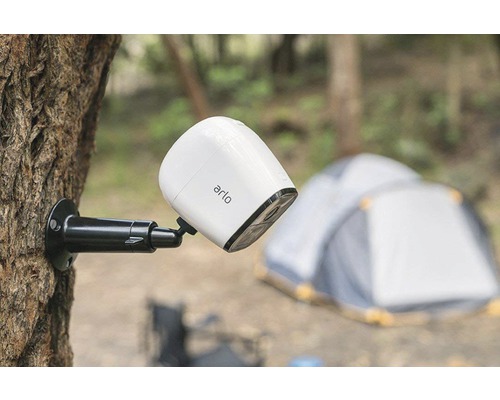 Arlo Überwachungskamera an einem Baum befestigt, mit Zelt im Hintergrund